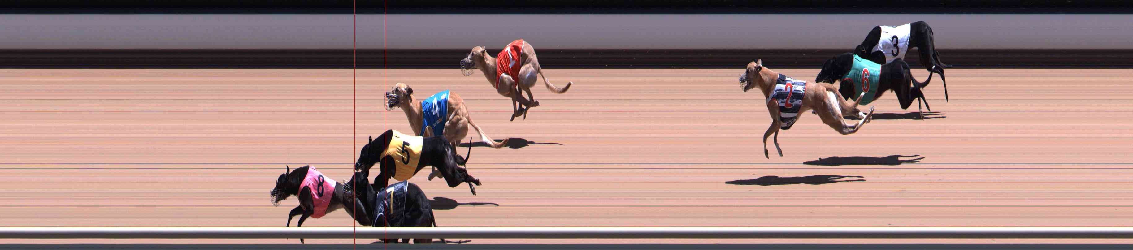 Race result finish photo
